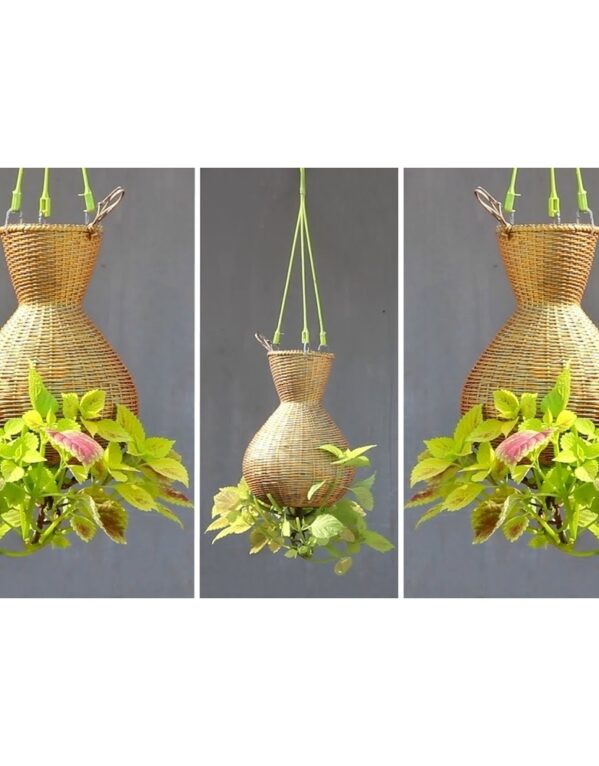 Bamboo Planter