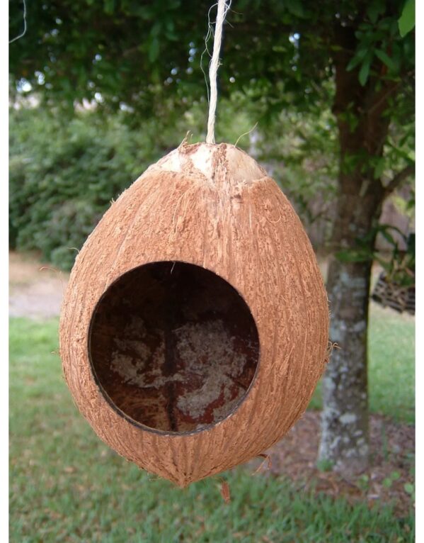 Coconut Shell Bird House