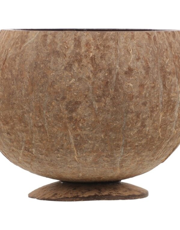 Coconut Shell Dessert Bowl