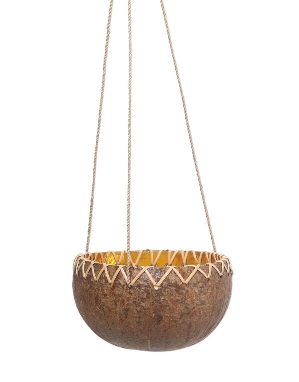 Coconut Shell Hanging Planter