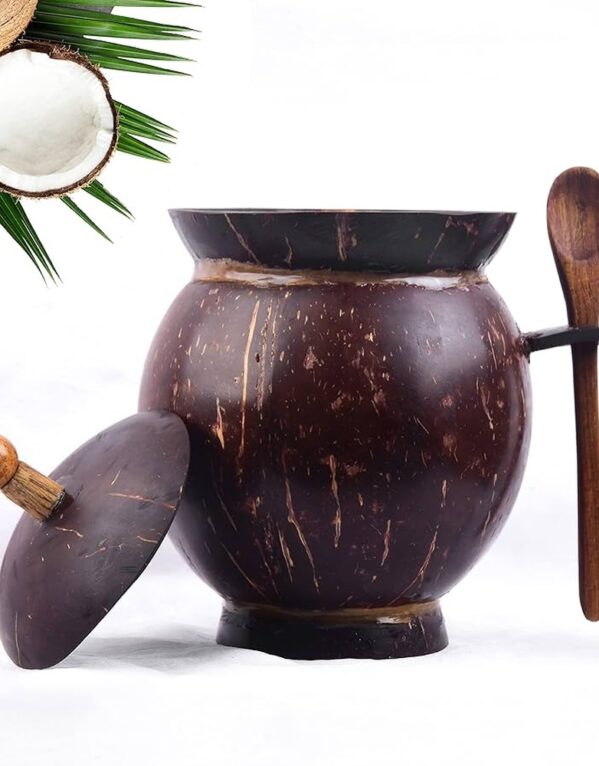 Coconut Shell Salt Cellar