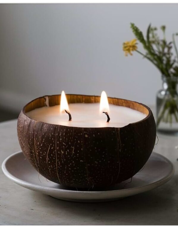 Coconut Shell Soy Candle