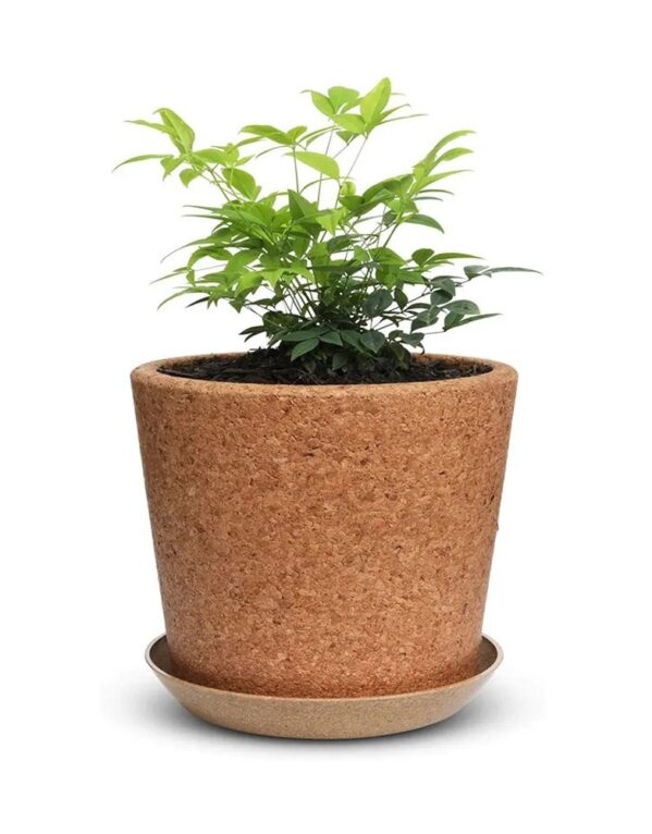 Cork Plant Pot Cover