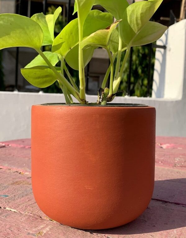 Terracotta Pot Medium